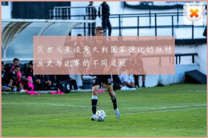 贝尔戈米谈意大利国家德比的独特历史与比赛的不同之处