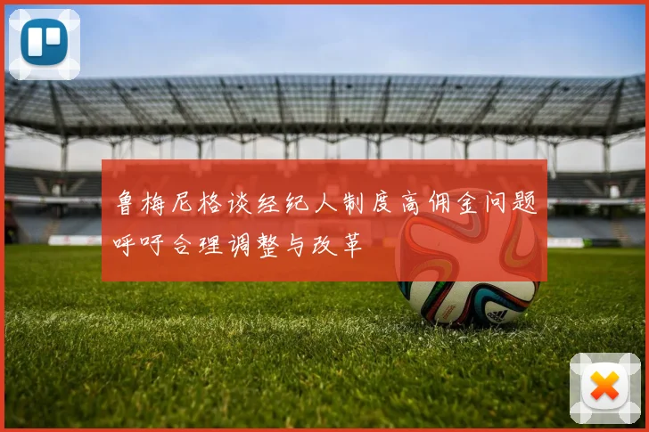 鲁梅尼格谈经纪人制度高佣金问题呼吁合理调整与改革