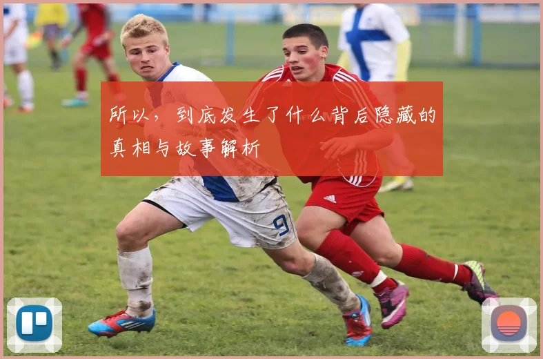 所以，到底发生了什么背后隐藏的真相与故事解析