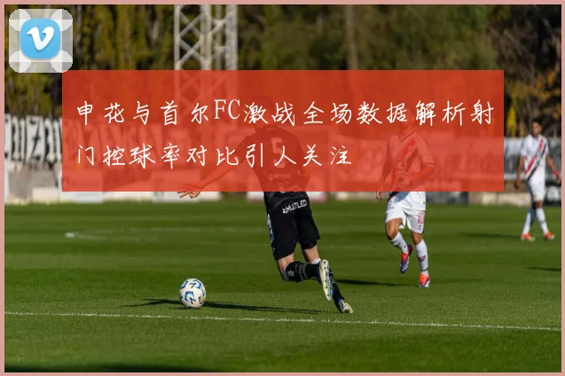 申花与首尔FC激战全场数据解析射门控球率对比引人关注
